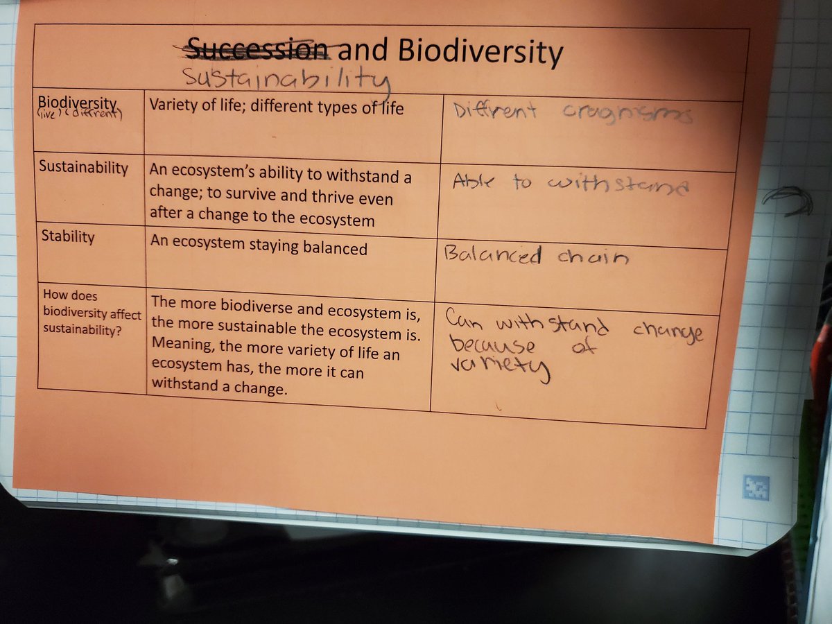 Lauren Mitchell tweet media