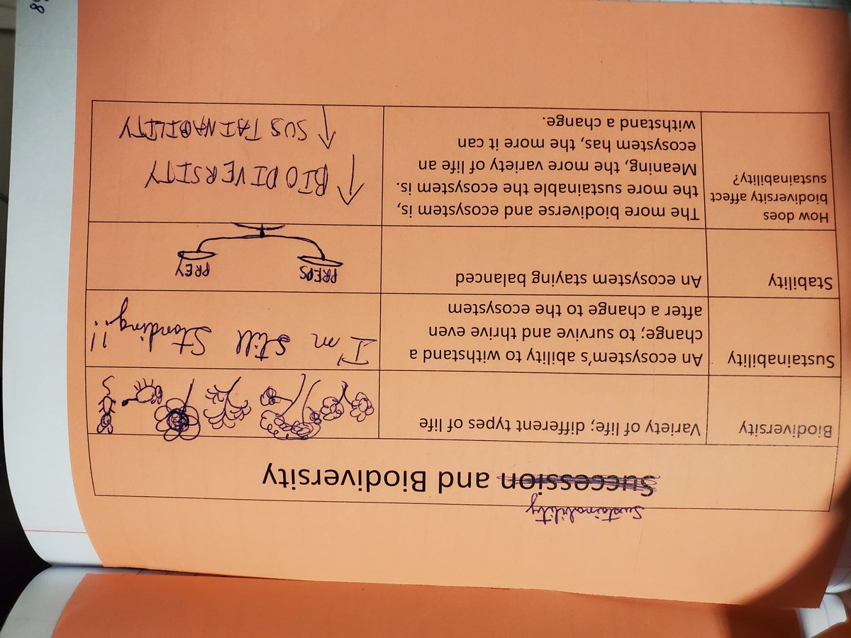 Lauren Mitchell tweet media