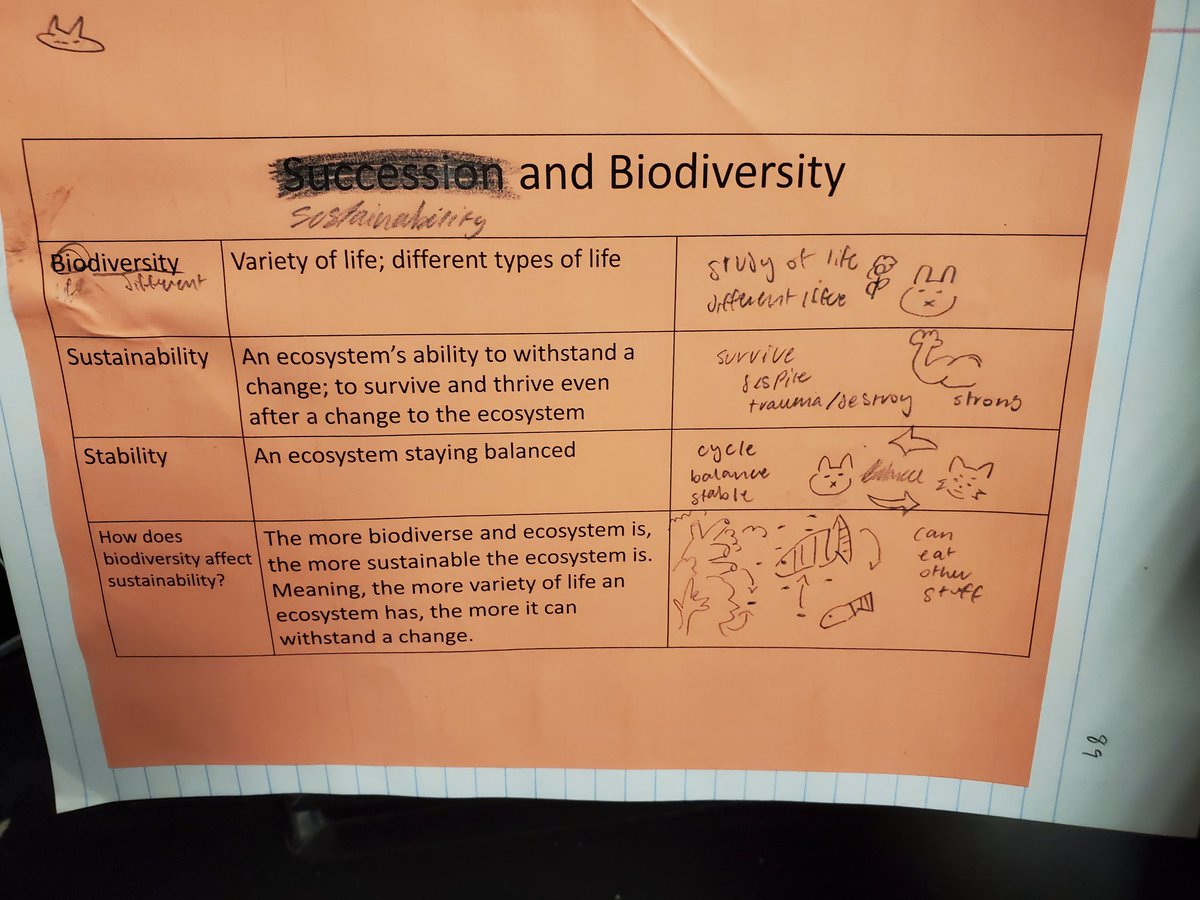 Lauren Mitchell tweet media