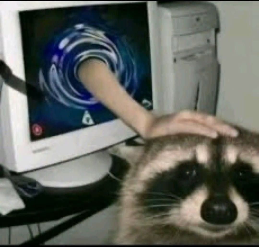 raccoon with confusing auras tweet media