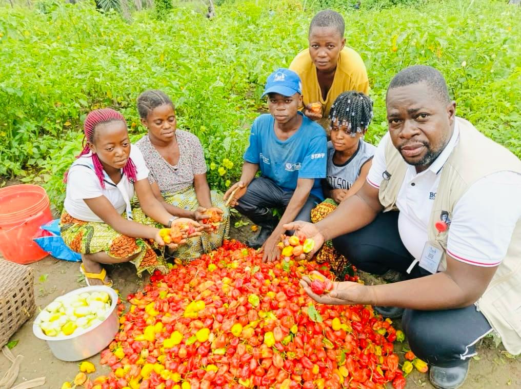 Apedcrdc's tweet image. Récolte des aubergines et des piments dans les jardins de ménage de l’aire de santé de Kasesa, territoire de Kabambare, au sein de la zone de santé de Lusangi au MANIEMA
#securitéalimentaire