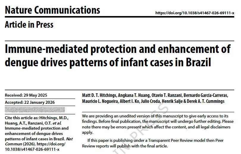 Maternal dengue antibodies can have two effects in infants: early protection, followed by increased risk of severe disease between 5–12 months (antibody-dependent enhancement). In Brazil dengue rose sharply from 2000–2024, with peaks of severe risk at birth and around 7–8 months.