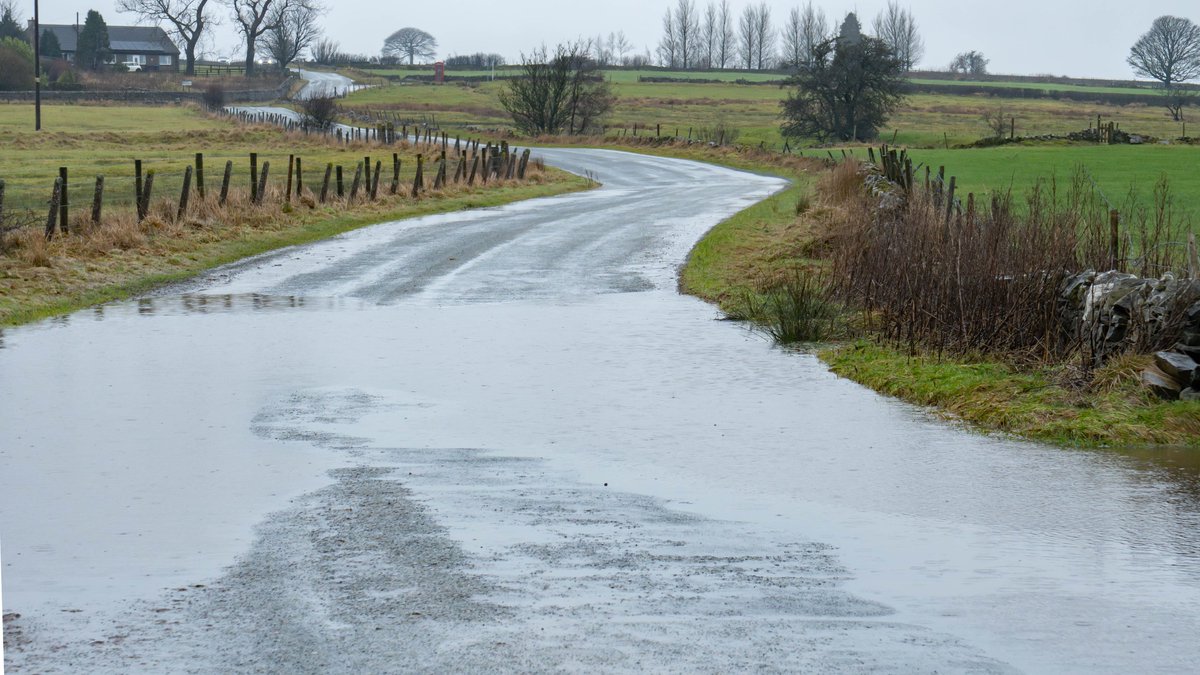 Cliff Salt tweet media