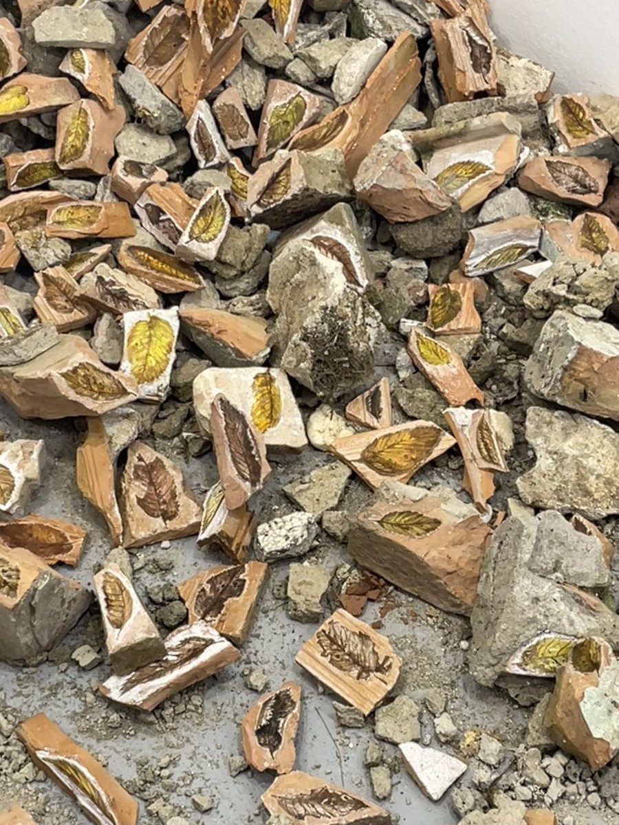 Isakost ๐ชฒ๐๐ซ tweet media