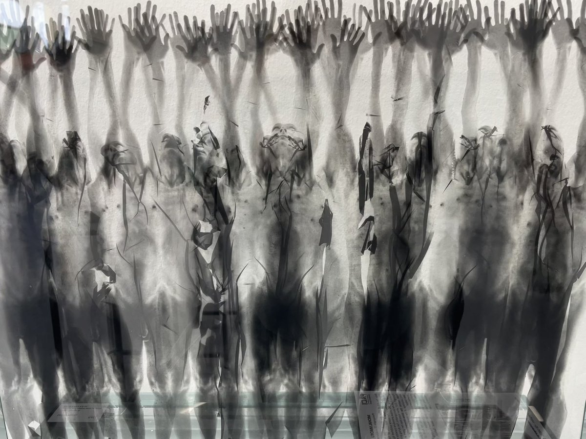 Isakost ๐ชฒ๐๐ซ tweet media