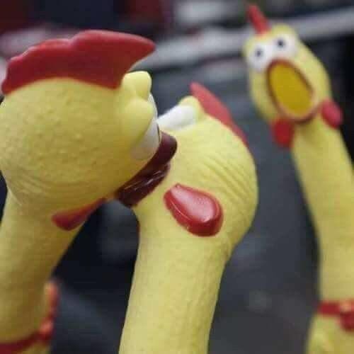 아니 사연 팬레터 플북 보는데 이거잖아