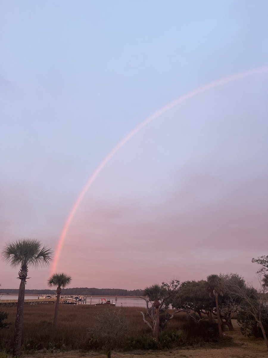 Carey Wallace tweet media