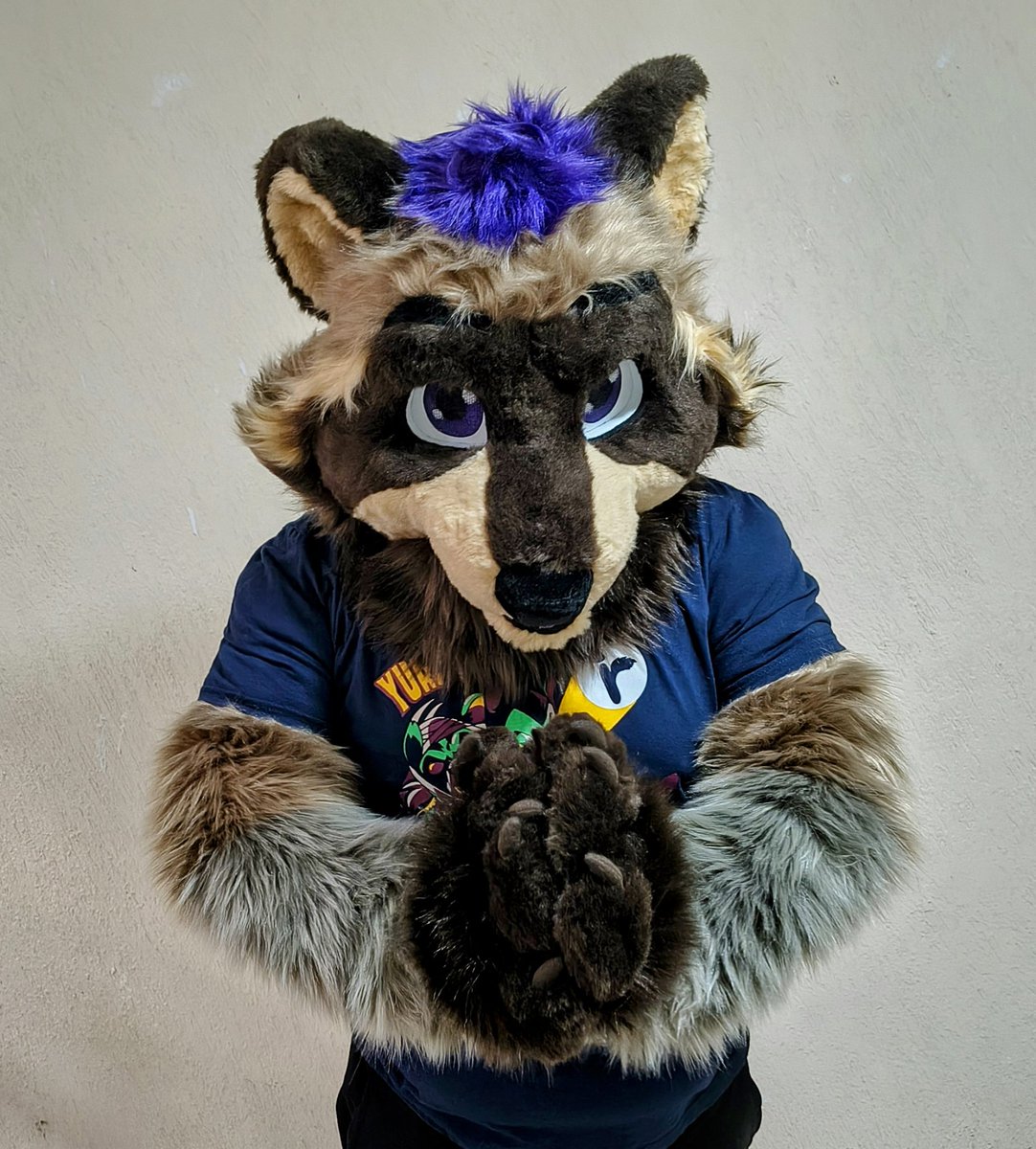 a_koon_guy's tweet photo. Recuerdo de mi primer fursuit friday 🦝
#FursuitFriday #firstfursuitfriday https://t.co/A5nqpg9Ika
