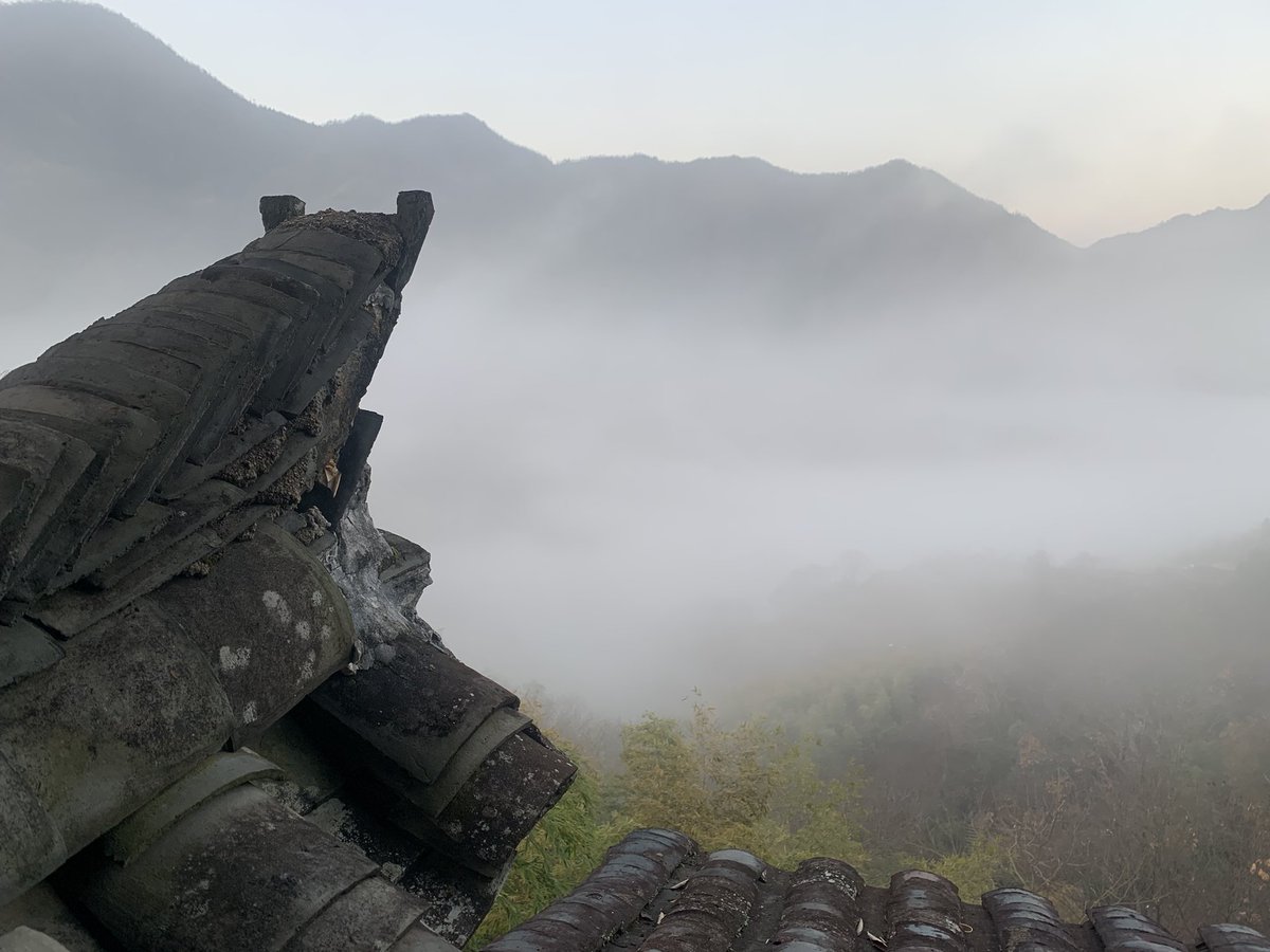 la54188's tweet photo. 村里的空气好呗✌️ https://t.co/VlOwxvukli
