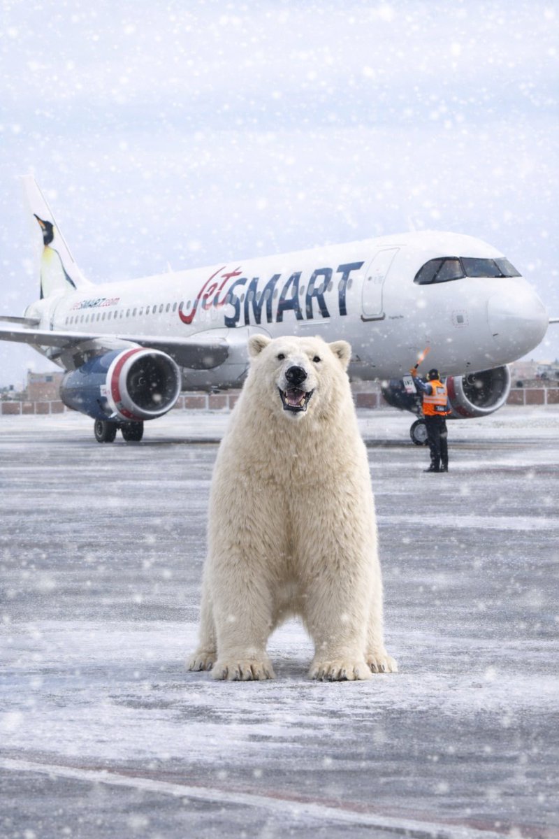 JetSMART tweet media