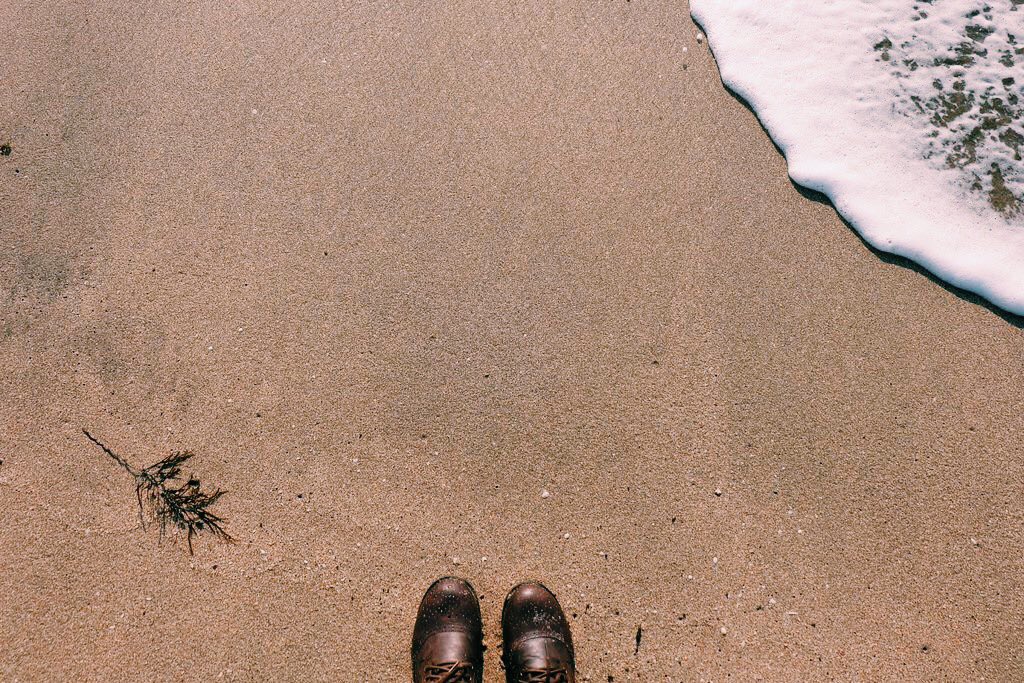 めいこ tweet media