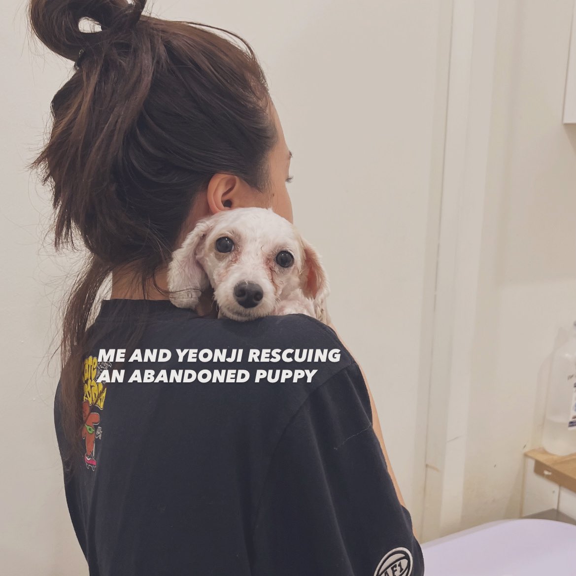 akak botak tauke gym tweet media