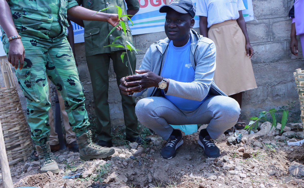 OMS TOGO tweet media