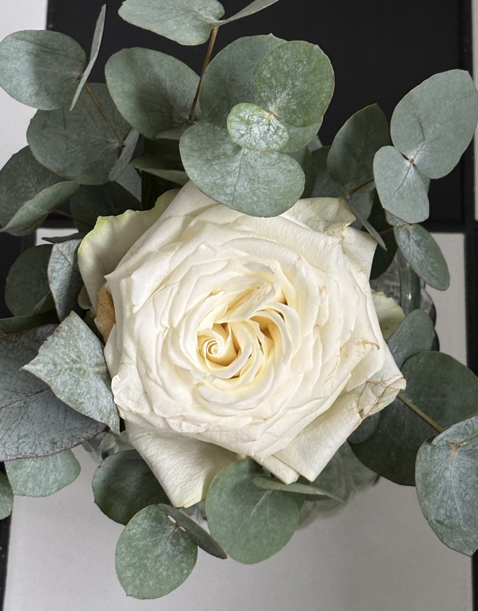 Bissl Augenpflege für die Timeline ✨

#schönesgegendoofes