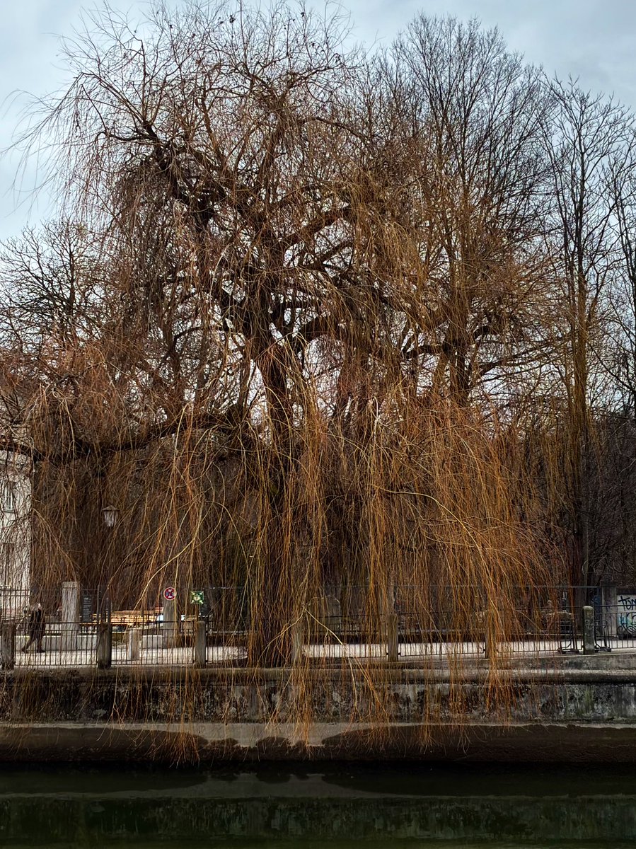 weissblauemacht's tweet photo. Lichtwechsel an der Isar. Von melancholischem Grau zu goldenem Leuchten. Derselbe Ort, eine völlig andere Welt. 🌓 #isar
#IsarMoments #München #StreetPhotography #LightAndSha https://t.co/42oDUR9En4