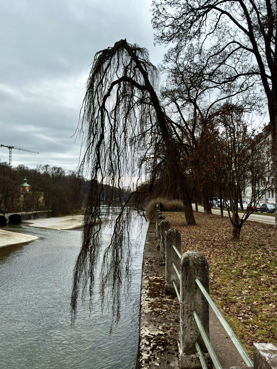 weissblauemacht's tweet photo. Lichtwechsel an der Isar. Von melancholischem Grau zu goldenem Leuchten. Derselbe Ort, eine völlig andere Welt. 🌓 #isar
#IsarMoments #München #StreetPhotography #LightAndSha https://t.co/42oDUR9En4