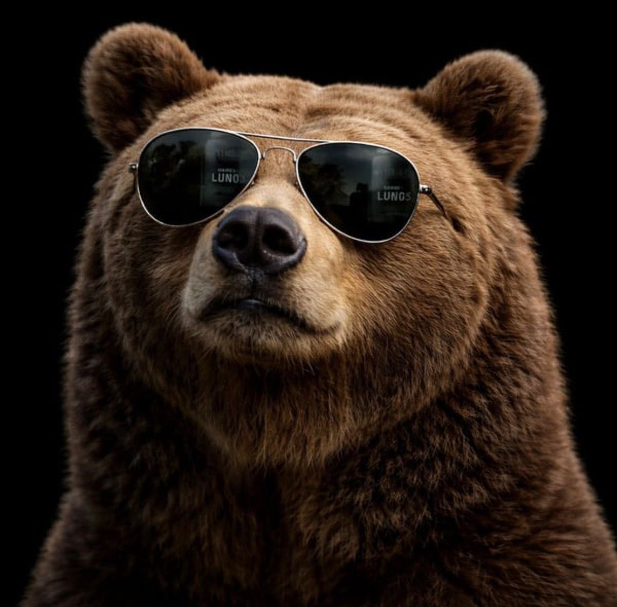 Man.Dudeee tweet media