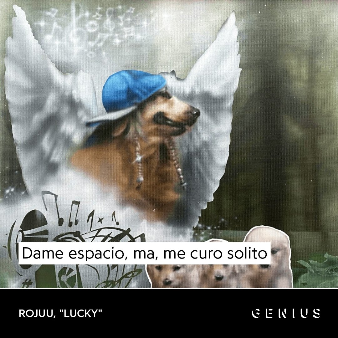 Ⱥղą (@anasnchzzrr) on Twitter photo 