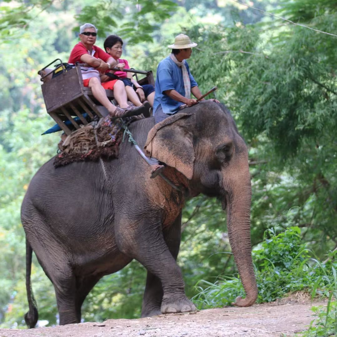Le Média Positif 🍀 tweet media