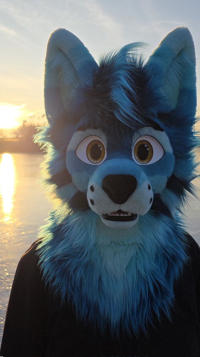 Whitewing Creations tweet media