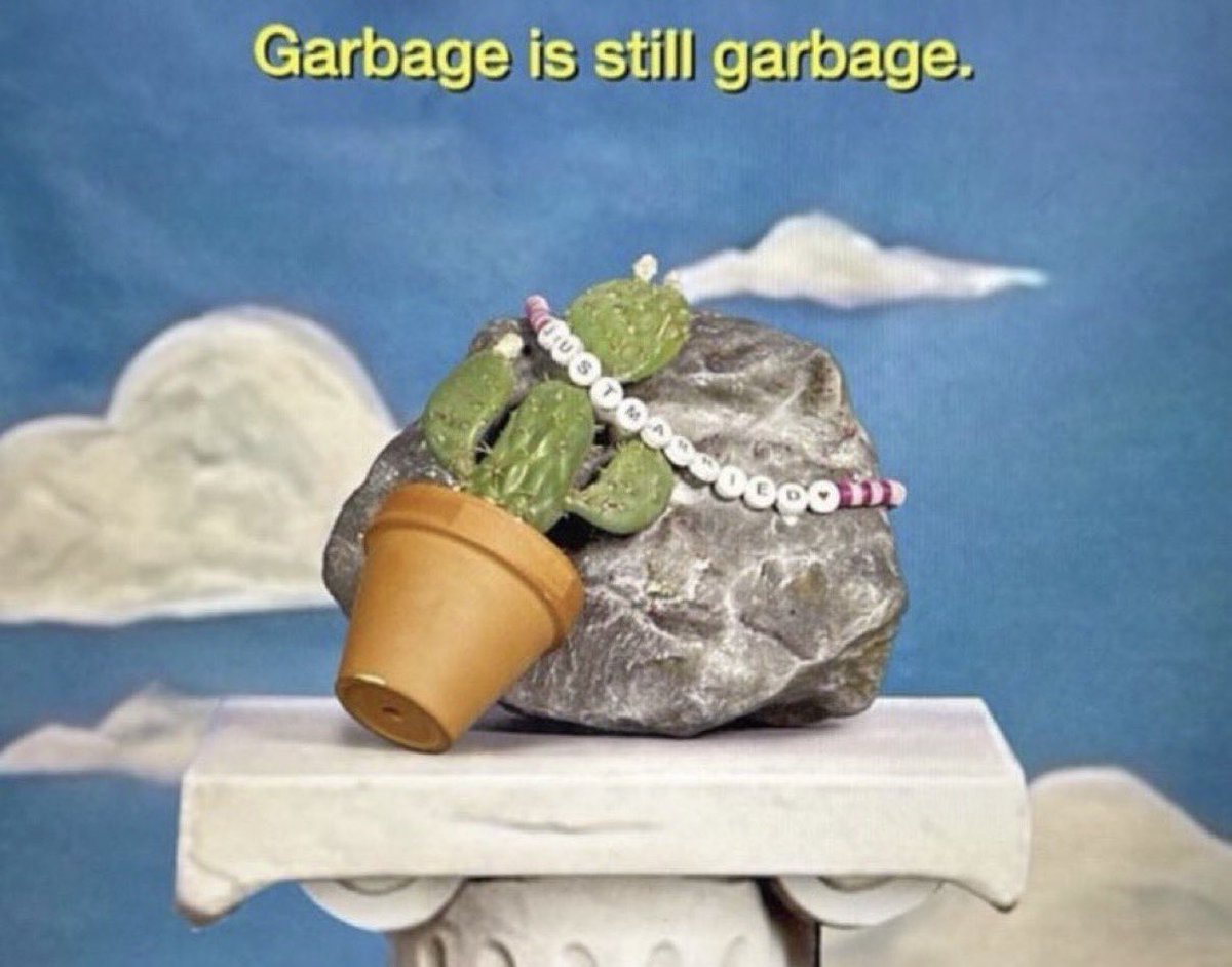 the cactus: prickly, constantly hurting him

the rock: a weight she is carrying around, not actively taking part in anything she is doing

i see the vision &amp; i support it, taylor!!!!!