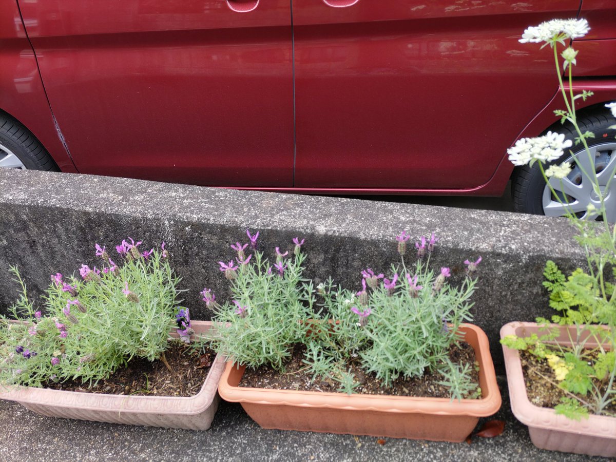 プリティ (@E76Pb9ECgMBSP4D) / Posts / X