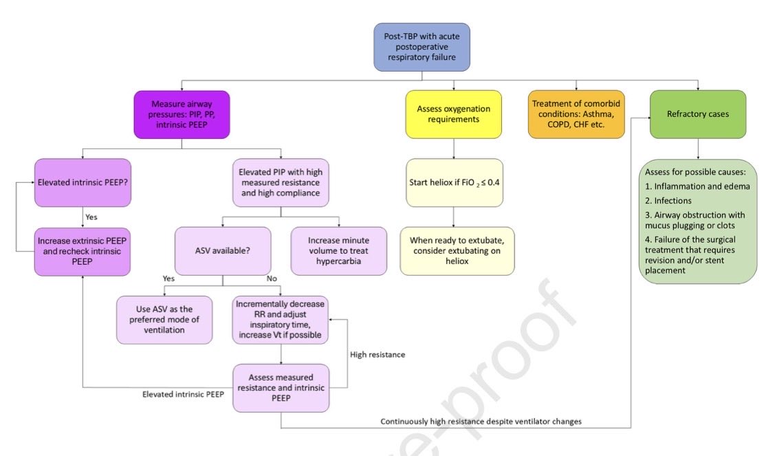 Hayley Gershengorn tweet media