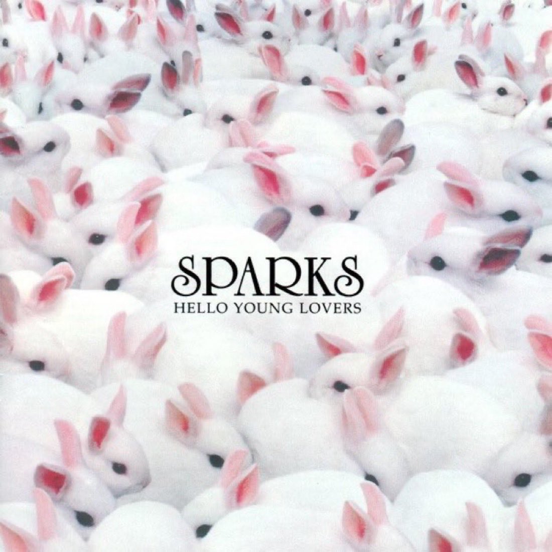 Sparkstacular tweet media
