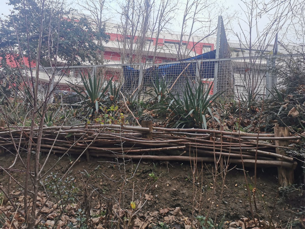 BBabeth75's tweet photo. @leparisien_pol Petite Ceinture Paris 19 : section Thionville/Ourcq. il y a  le descriptif du site par la Mairie : "créant des habitats propices à la faune et la flore" " Ces  tronçons sont un corridor écologique" etc etc :)  et la réalité : https://t.co/1qk46dTJCv