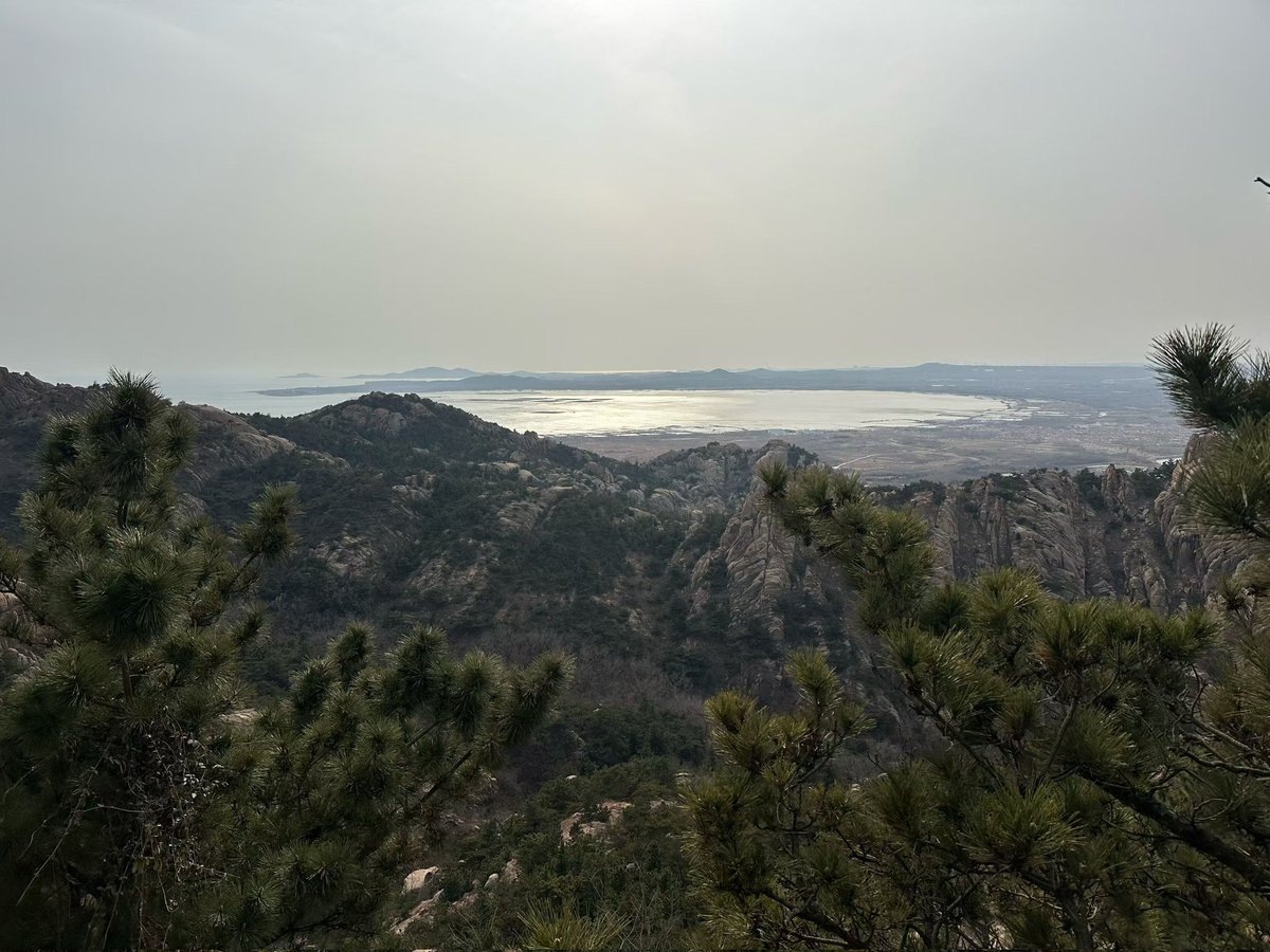 我腹肌呢？（在青岛版） tweet media