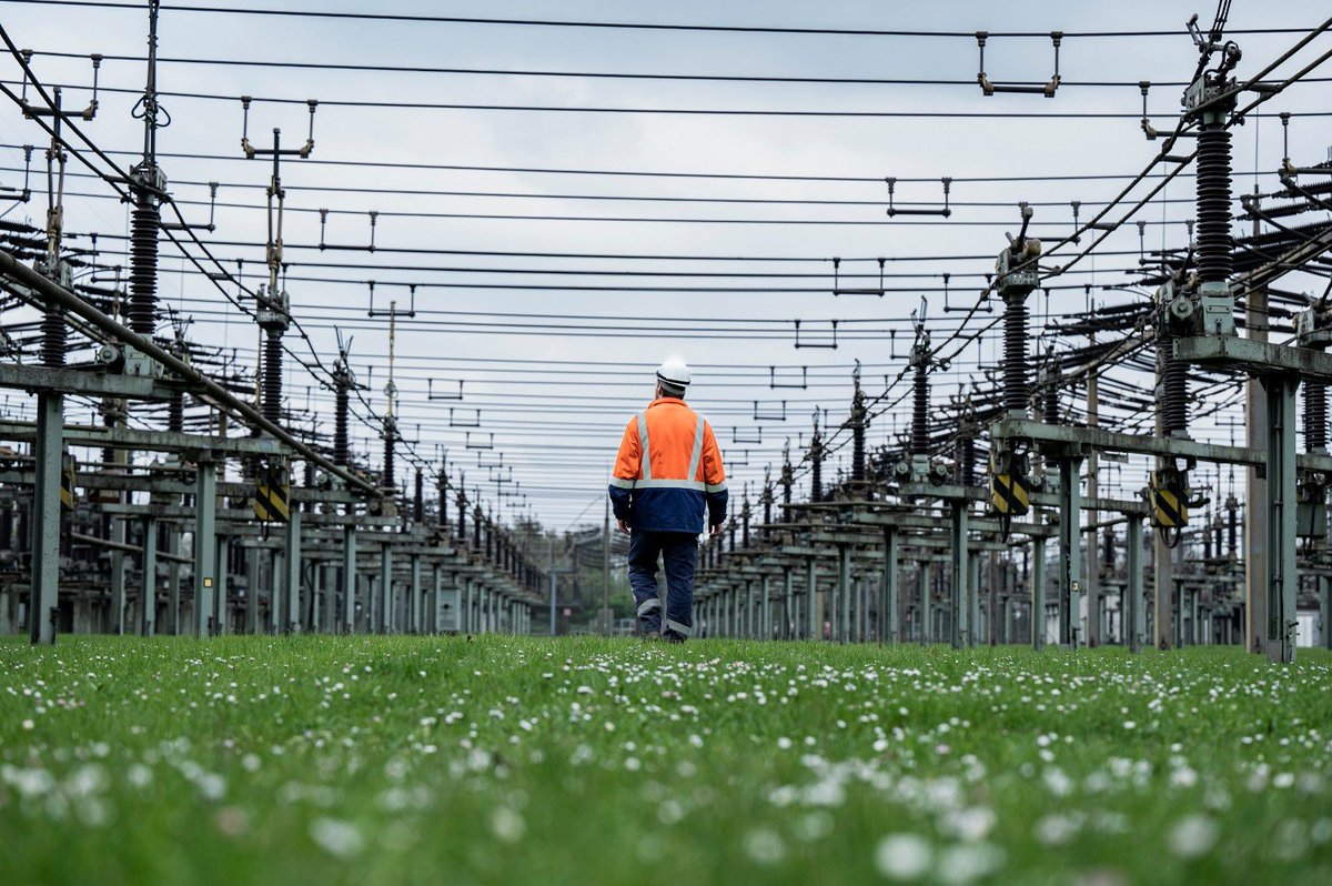 IWR Online tweet media