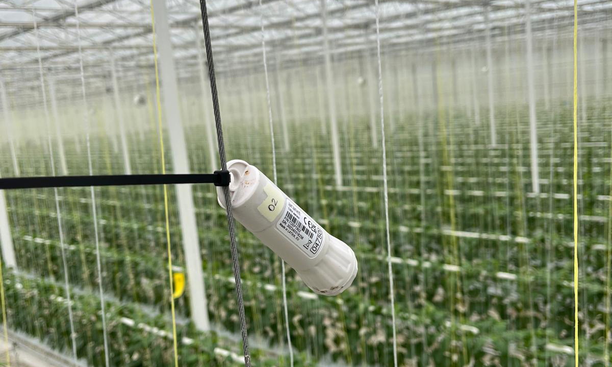 HortWeek tweet media