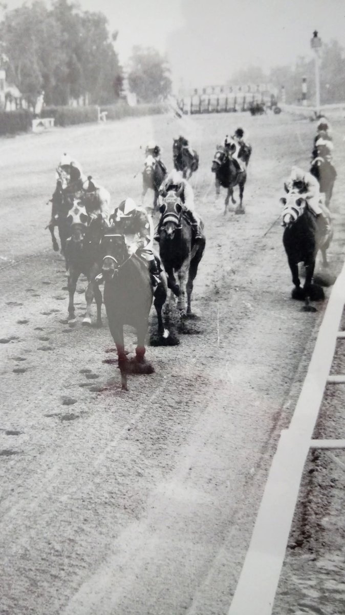 HORSERACING1002's tweet photo. GUADAMUR 🇲🇽1966
(TALGO II ▪︎ MELUSINA BY MY BABU)
#Guadamur
1969 https://t.co/ndJo1OI6io