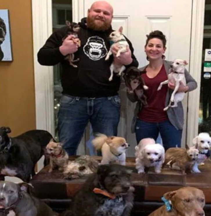 Couple Rescued All the Unwanted Senior Dogs from The Animal Shelters.Send me some love ❤️