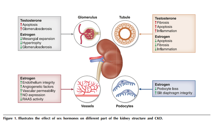 Sociedad SEEN tweet media