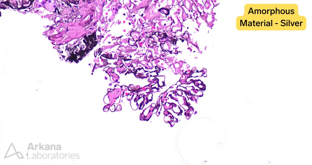 Arkana Laboratories tweet media