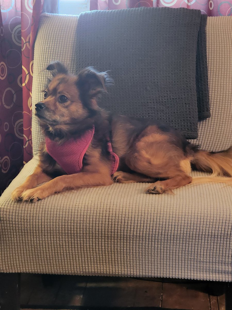 James Littleton tweet media