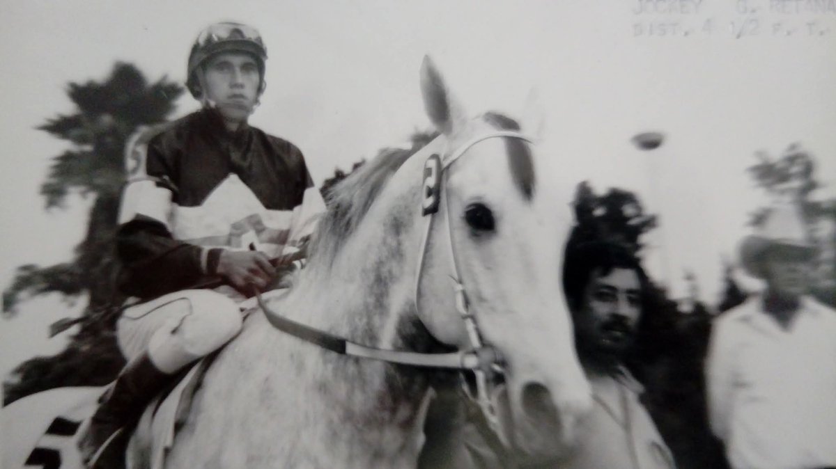 HORSERACING1002's tweet image. HUSAR 🇲🇽 1978
(GOOD DOCTOR - POLONESA BY ROMANY ROYAL)
#Husar