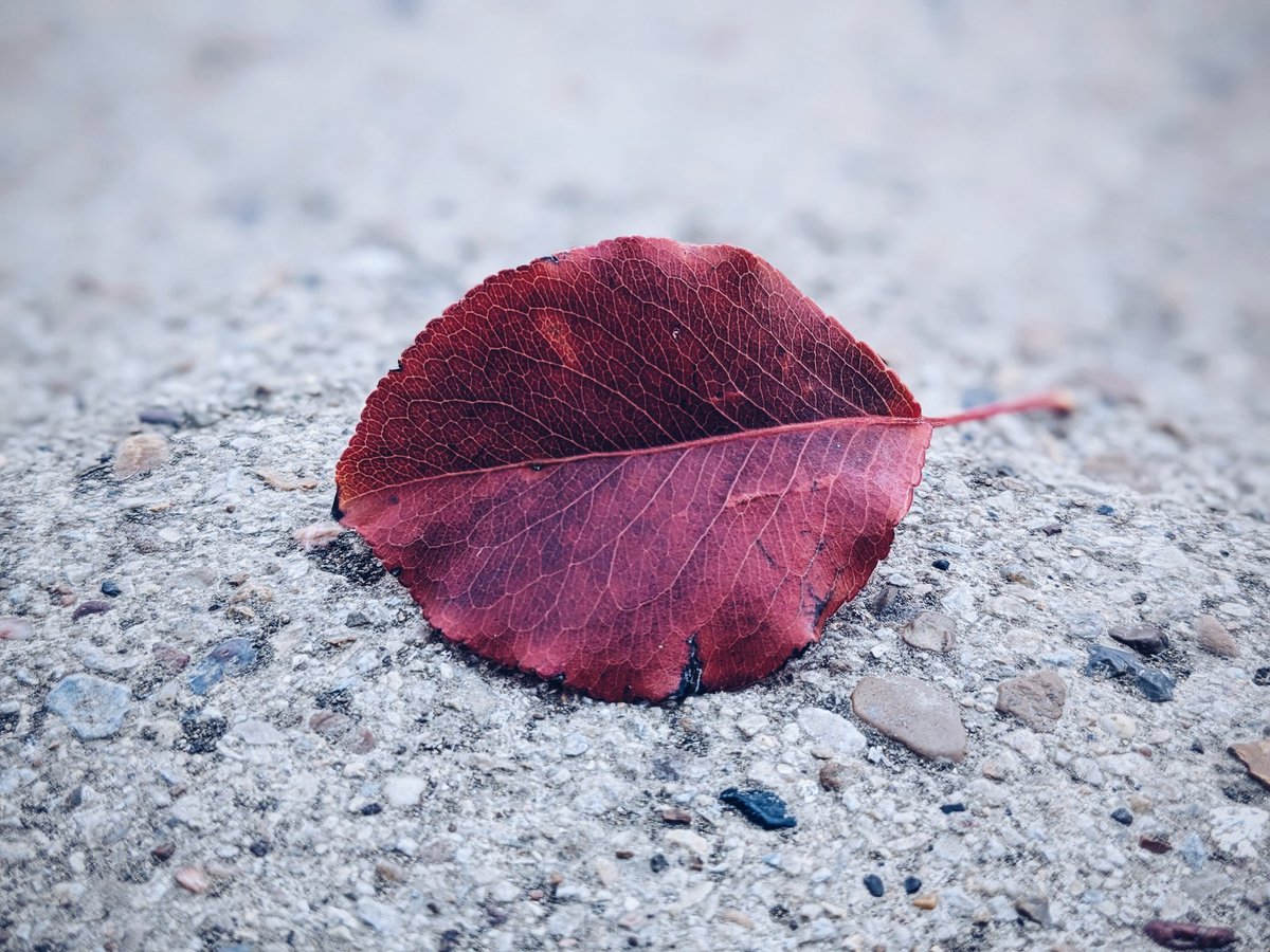 Anna Madden tweet media