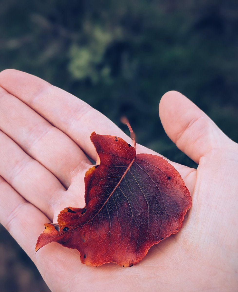 Anna Madden tweet media