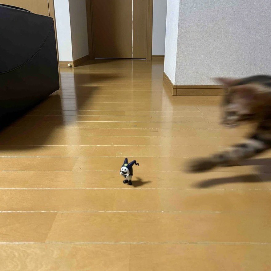 KAWAII__152cm's tweet image. 