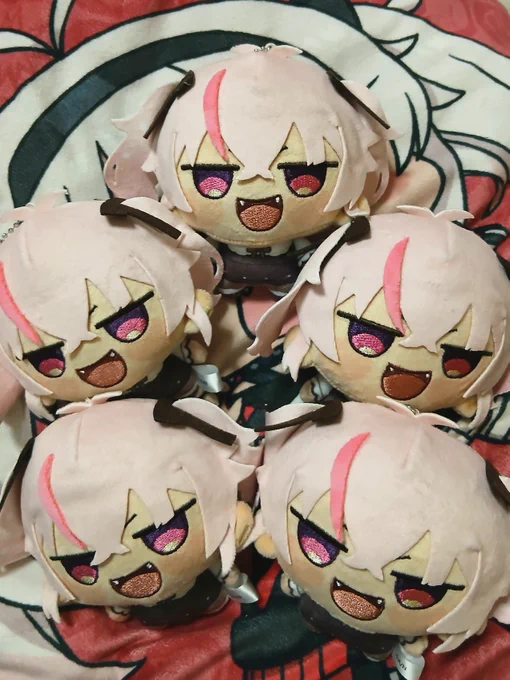 まちゅかい届いた!(まだ増える 可愛すぎんか撫でまくるわ