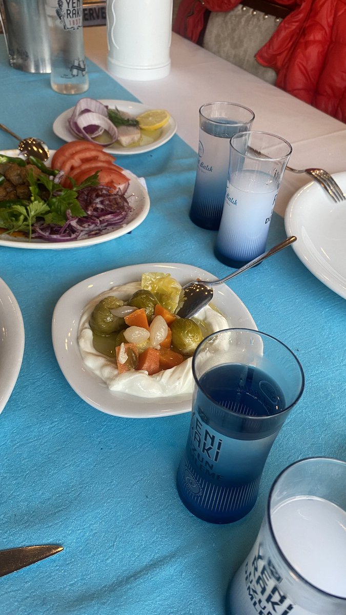 onur_demirs's tweet photo. Günleriniz Keyifli Geçsin #sandalbalık https://t.co/GLm206H5Bp