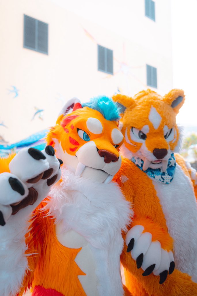 橘醬 Orange Jam キツジャム ▶️ UTFG tweet media