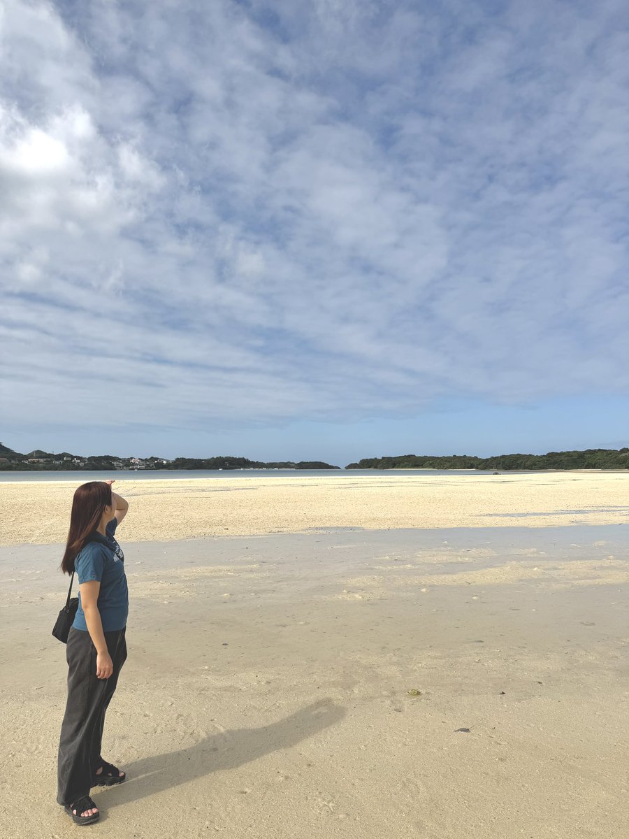 ⚠️せんちゃん専用 せんちゃん🐾 (@sen1043h) / Posts / X