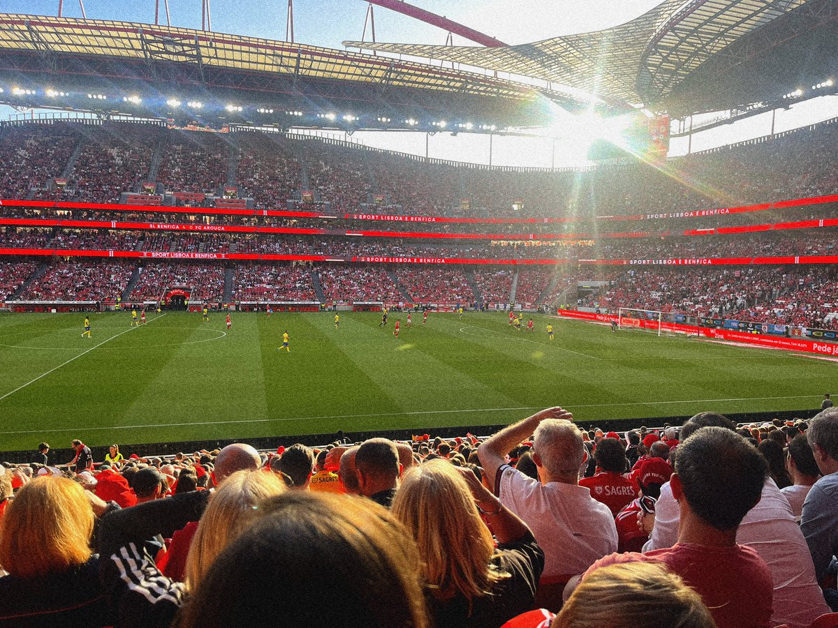 Talking Parrot Creative tweet media