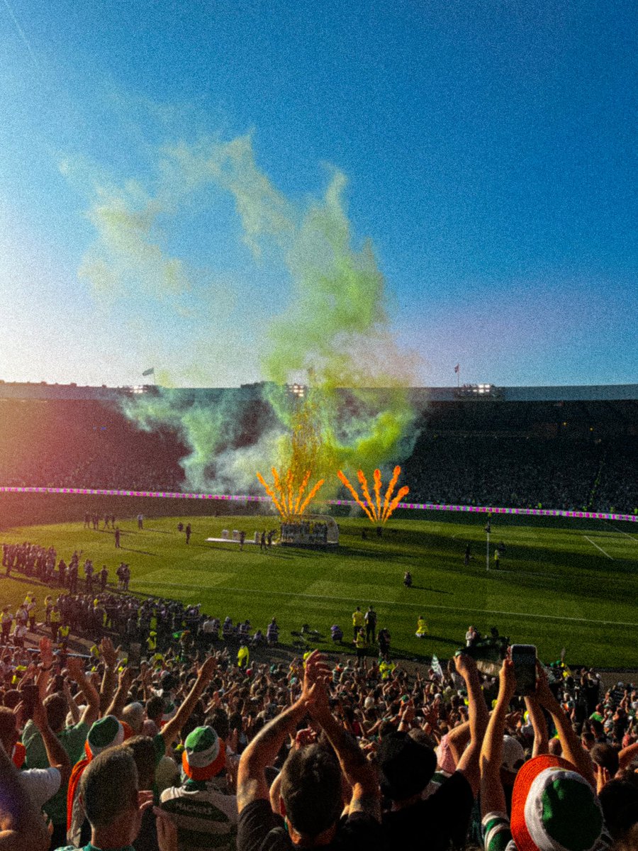 Talking Parrot Creative tweet media