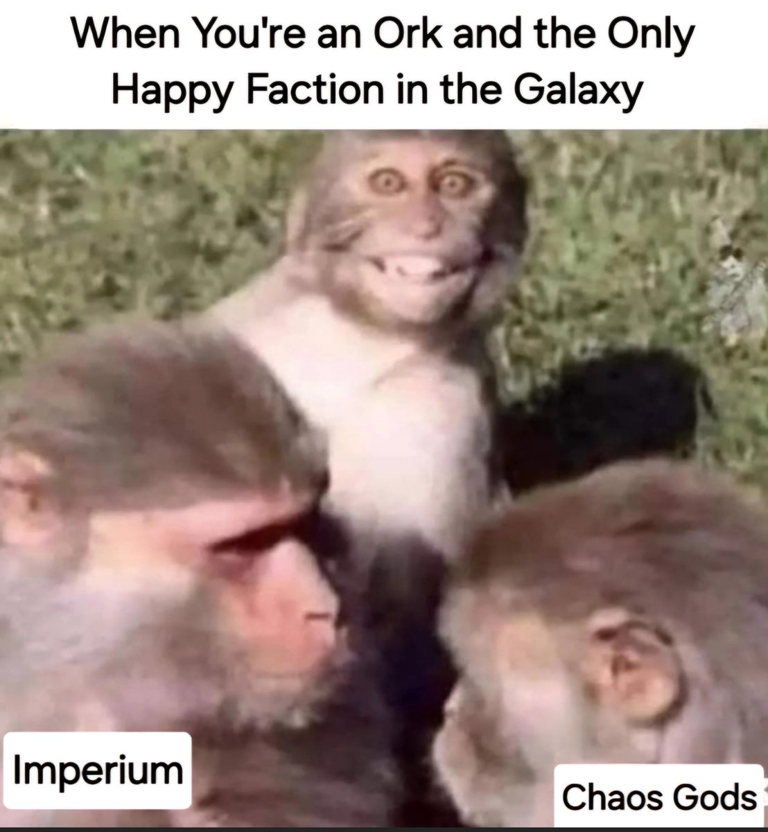 NornQueenKya's tweet image. In an universe of only war

Join the side that loves what they do