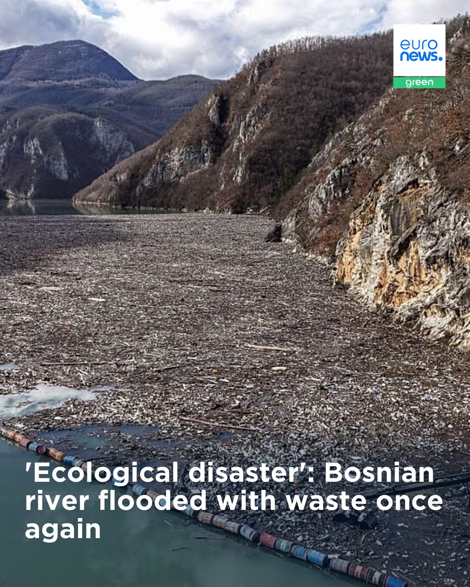 Euronews Earth tweet media