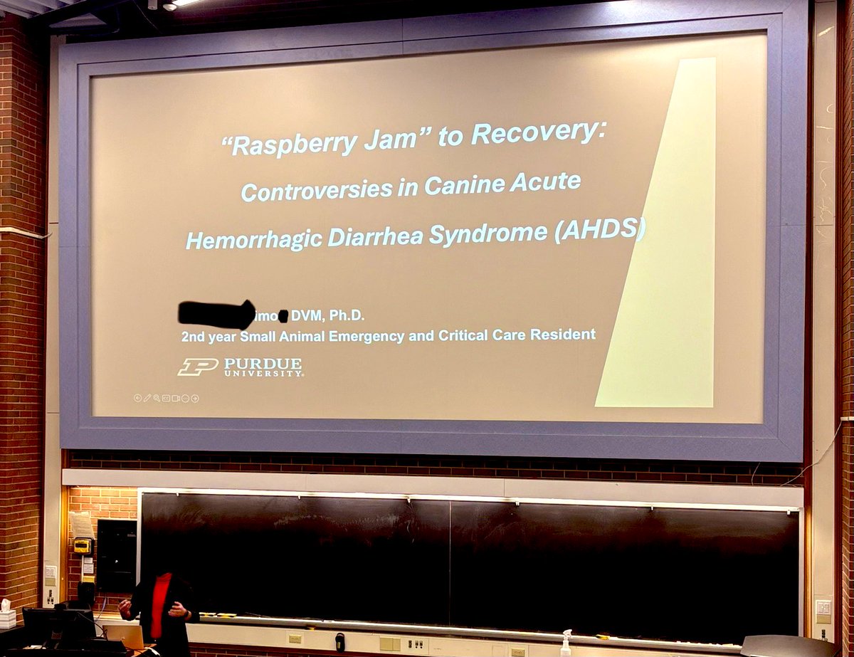 今日だけは少し自慢させてください。学内セミナーで、想像以上の高評価をいただきました。

日本で30年過ごした自分でも、本気で準備して向き合えば、🇺🇸の中でのスピーチでもちゃんと伝わるし評価してもらえる。

地味に嬉しい日です。